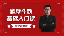 郭子谊老师紫微斗数初级入门课程