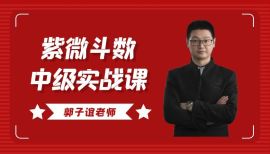 郭子谊老师紫微斗数中级应用实战课程